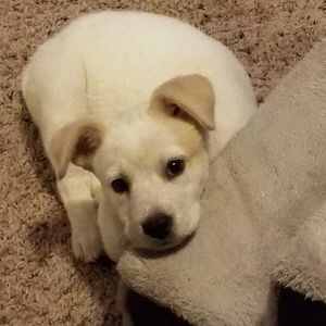 Meet your Posher, Kellie